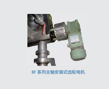 BF-系列主轴安装式齿轮电机